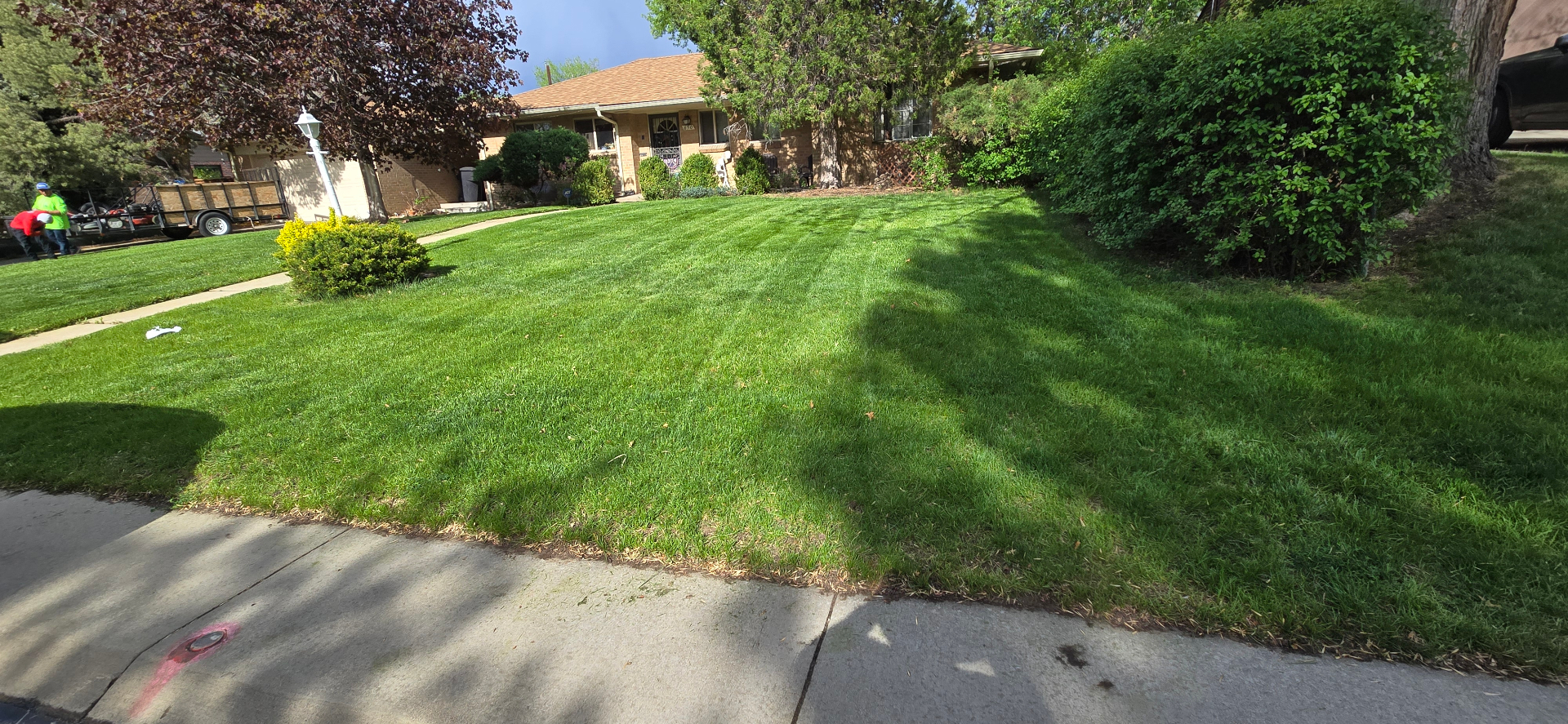 M&A Torres Lawn LLC | Professional Landscaping in Denver, CO